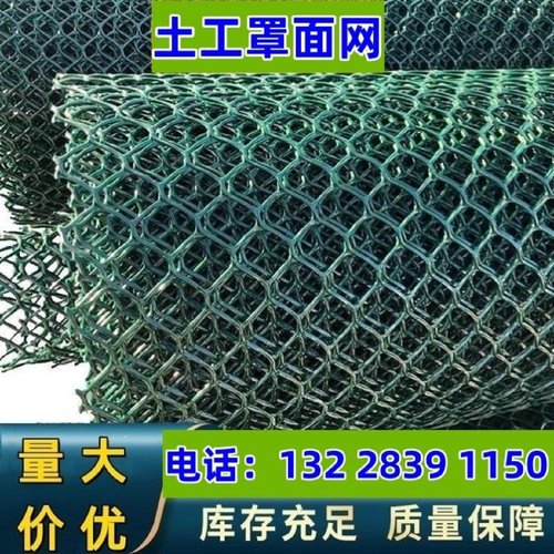 HDPE土工网CE131CE151罩面网爬藤网攀爬网山体护坡土工网垫