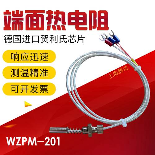 端面热电阻WZPM201轴瓦测温探头pt100温度传感器螺纹热电阻轴承