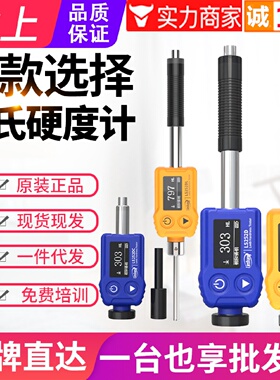 寻I特惠林上LS252D里氏硬度计LS252C金属钢材铸铁模具硬度测量仪L