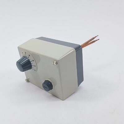 Samson 53172000 Immersion Thermostat 30110C