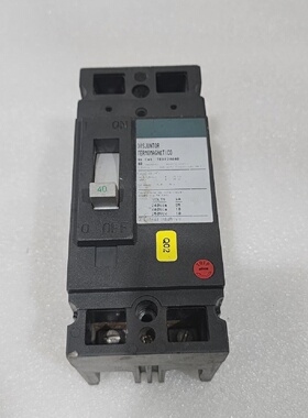 GE TED124040 2POLIGER SCHUTZSCHALTER 40A GENERAL ELECTRIC