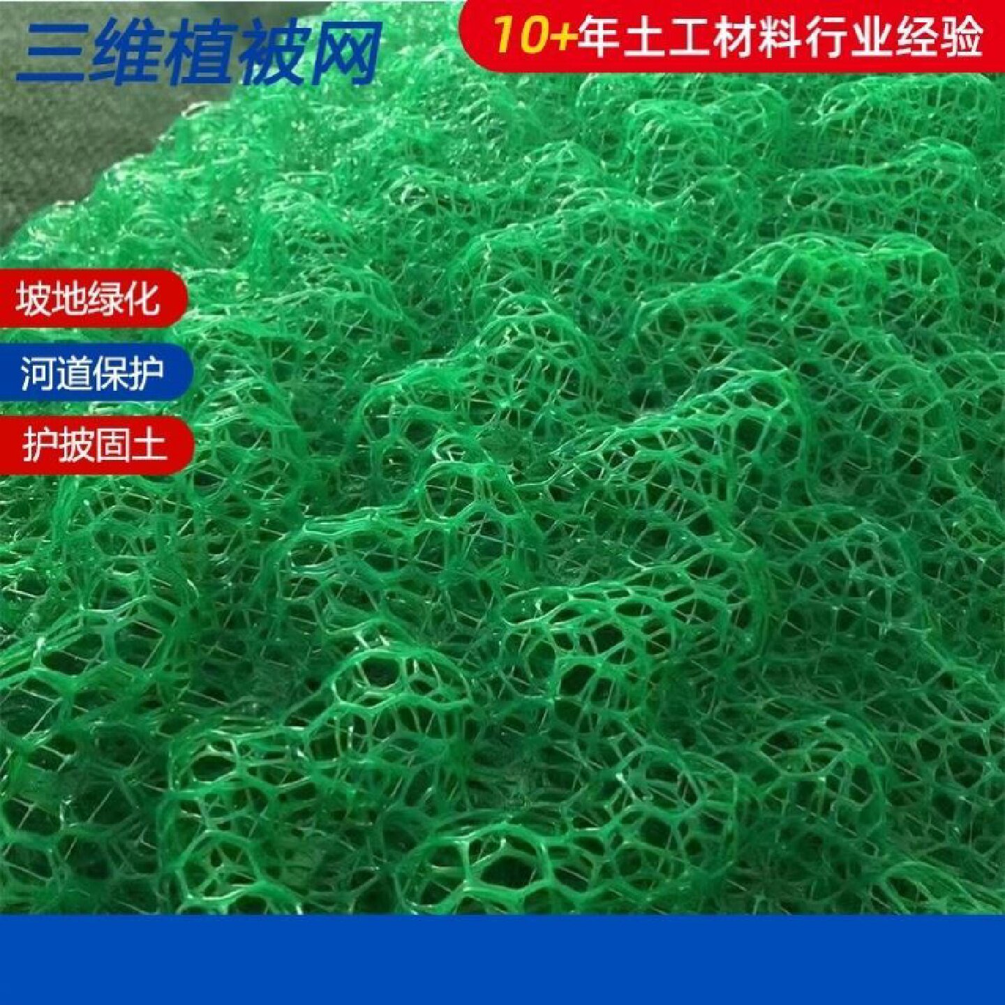 三维植被网护坡盖土网固土网绿化土工格网高速边坡植草网厂家直销