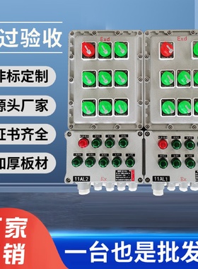铝合金不锈钢防爆配电箱动力照明控制插销接线按钮箱多回路正压柜