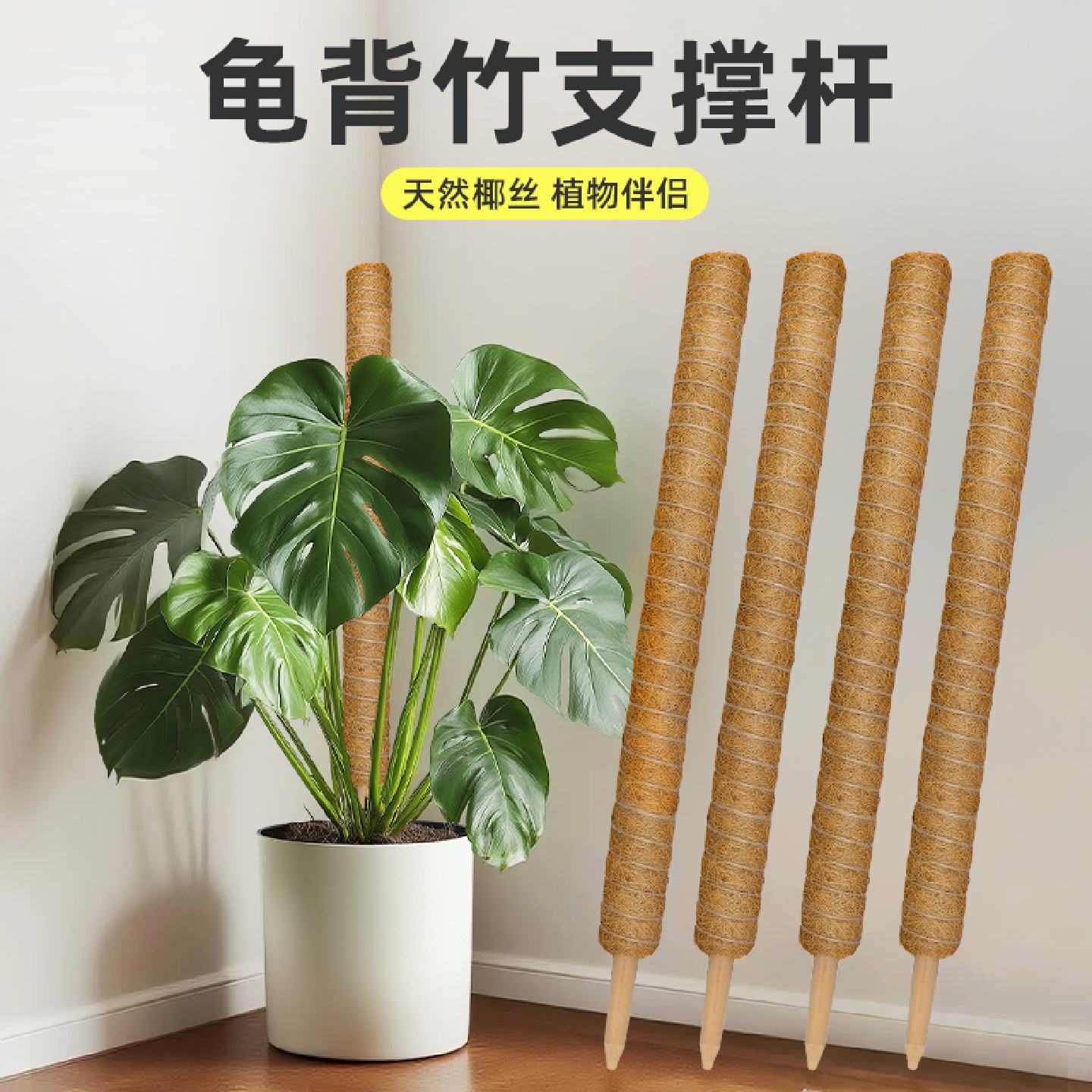 龟背竹支撑杆椰棕棒绿萝攀爬柱爬藤植物棕榈架花架固定架苔藓椰丝
