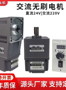 直流无刷电机大功率恒扭矩高压220V交流微型单相调速减速直角马达