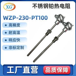 PT100 装 配式 全不锈钢热电阻WZP 230