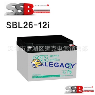 应急照明 SSB蓄电池SBL24 UPS备用电源 12i 浮充使用 12V24AH