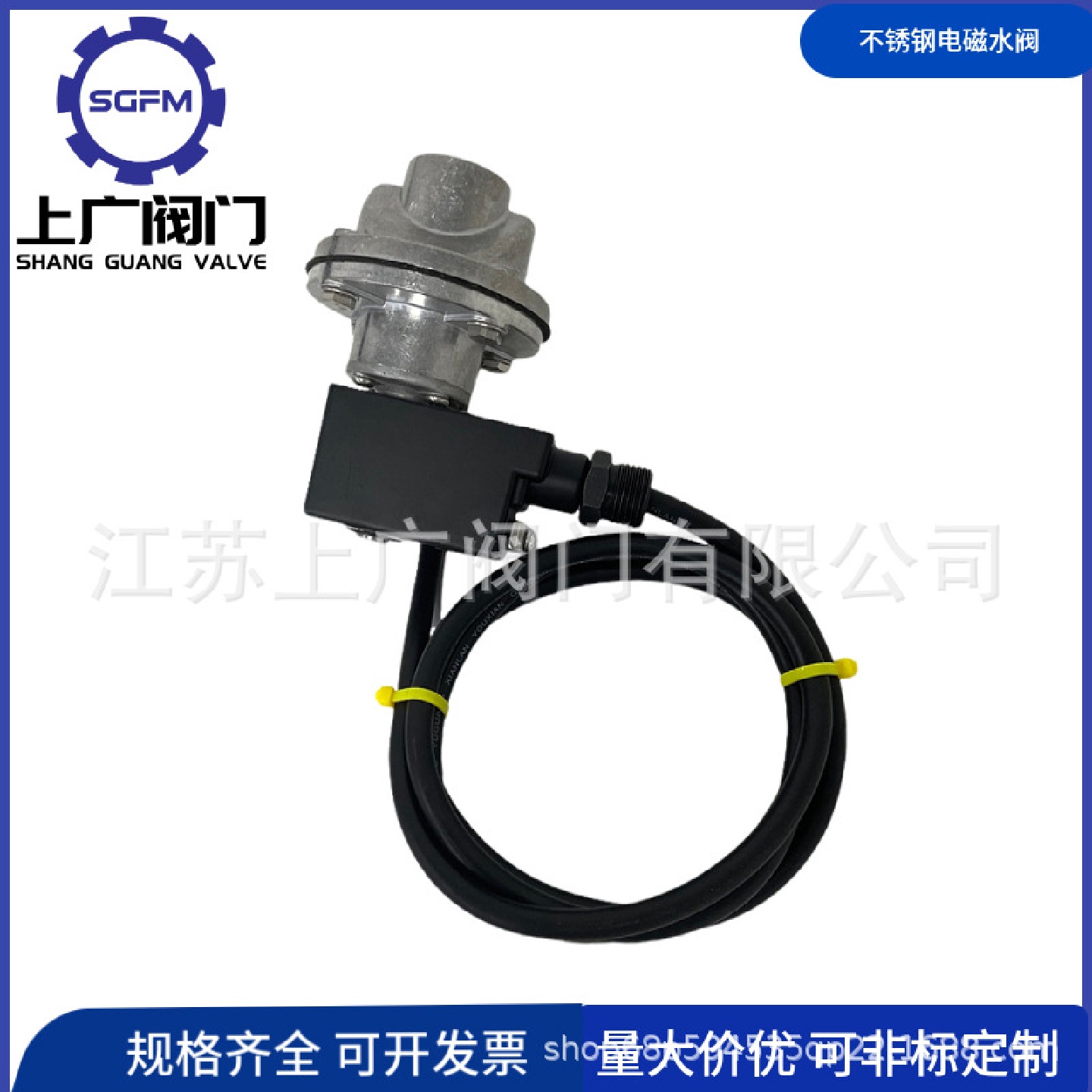 户外防水不锈钢电磁水阀220V24V电动控制水用常闭开关