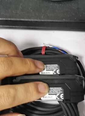 议价没基恩士FSN11n共两个