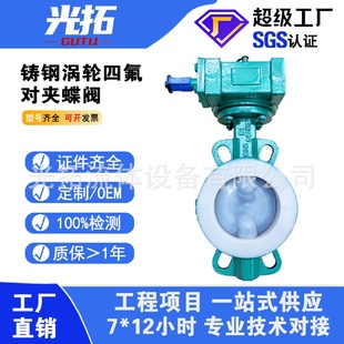 16C全衬四氟蝶阀耐腐蚀耐酸碱蝶阀 铸钢涡轮对夹四氟蝶阀D371F46