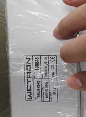 WETRON原装进口分段控制器TBE5.31-V2-R4，--议价商品