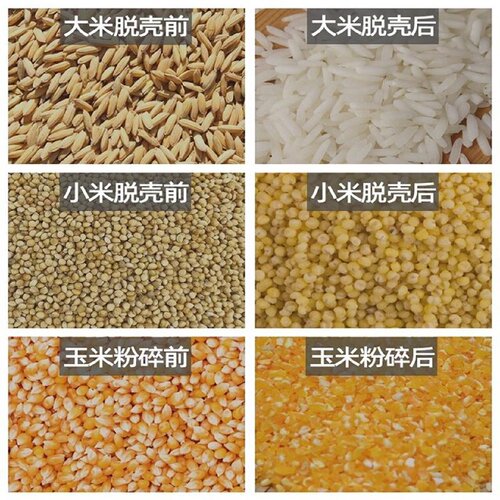 新型小型细糠碾米机商用家用玉米小麦粉碎机碾米粉碎组合机打米机