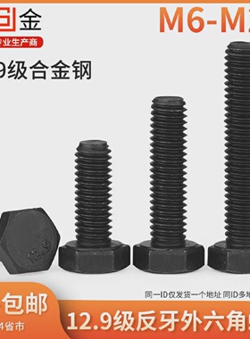 M6M8M10M1212.9级反牙外六角螺丝左牙倒牙外六角反丝螺栓