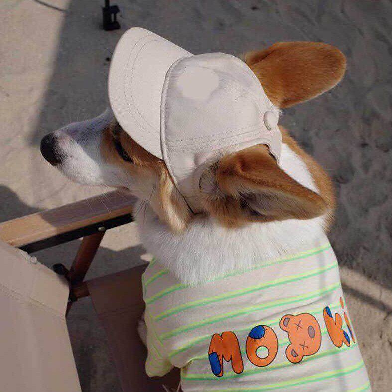 狗狗防晒帽露耳棒球帽柴犬柯基鸭舌帽小狗帽可调节宠物夏季太阳帽