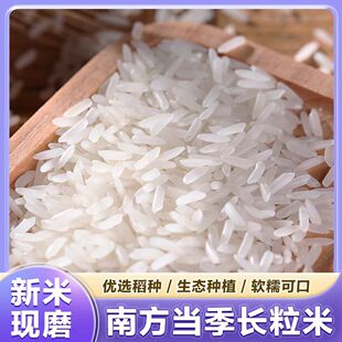 贵州南方产地直发当季优质新米长粒香优选稻种农家自产软糯可口