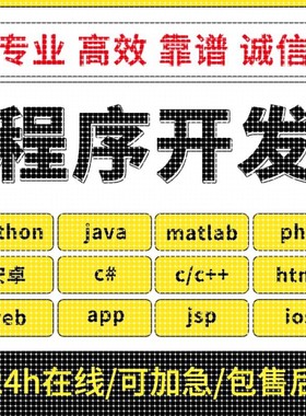 计算机JAVA代码编写python代编程序C++设计C语言代做c#开发vb接单