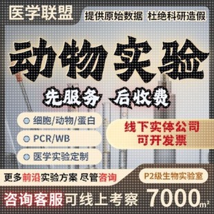 动物实验 机器学习 动物/细胞/蛋白实验/转录组/多组学/TCGA/GEO