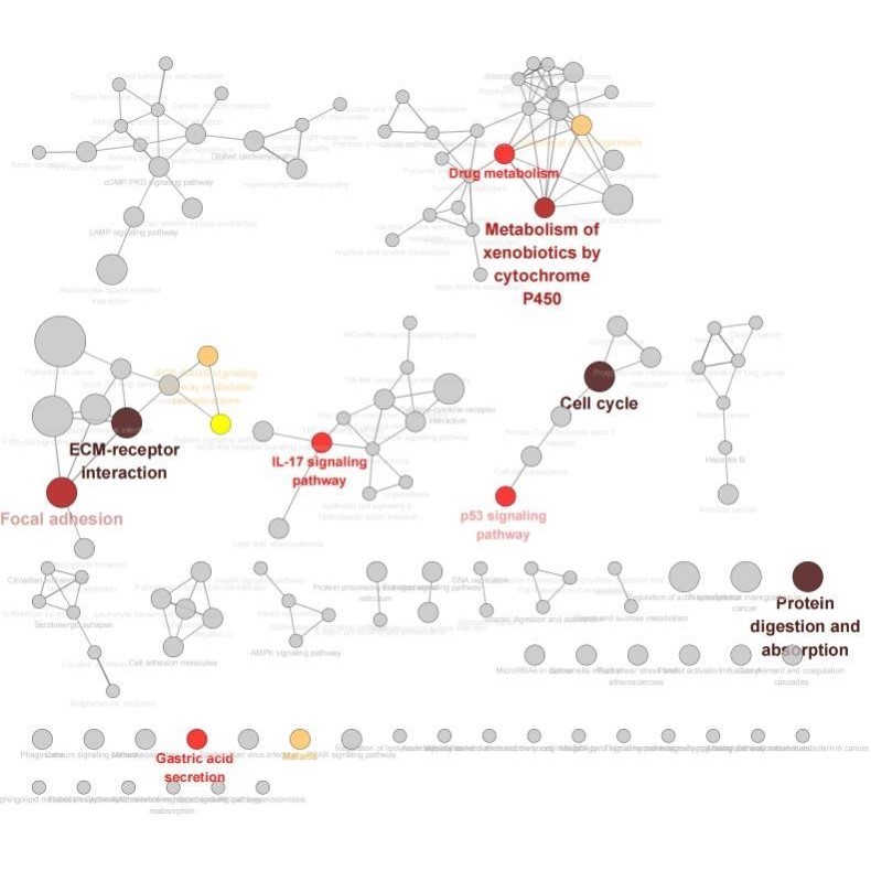 医学生信分析单细胞测序转录组TCGA GEO数据库挖掘分析服务