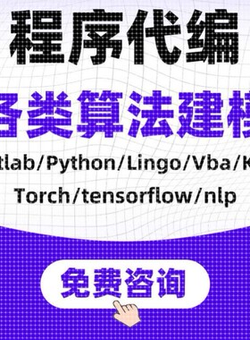 深度机器学习NLP算法程序代编数学建模型完型填空Python代码帮做