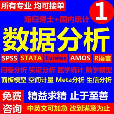 SPSS数据分析服务eviews实证Stata问卷调查meta医学amos统计R代做