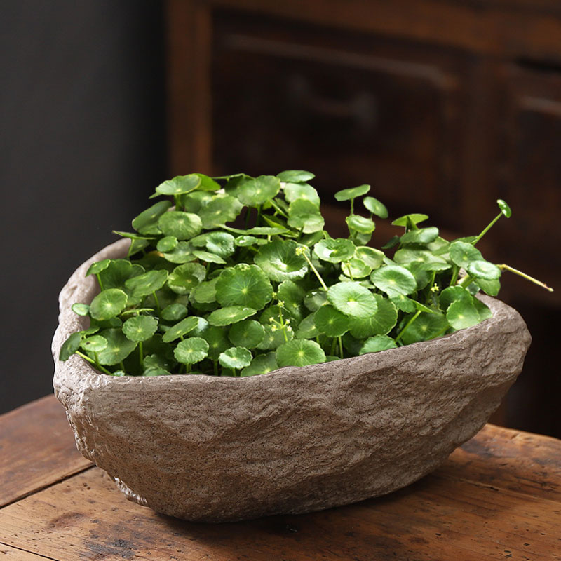 铜钱草花盆陶瓷无孔水培水养植物睡莲碗莲仿石头大号创意多肉花盆