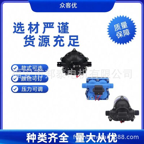 直销跨境热销110V隔膜泵房车水泵交流压游艇抽供水泵压自吸RV泵