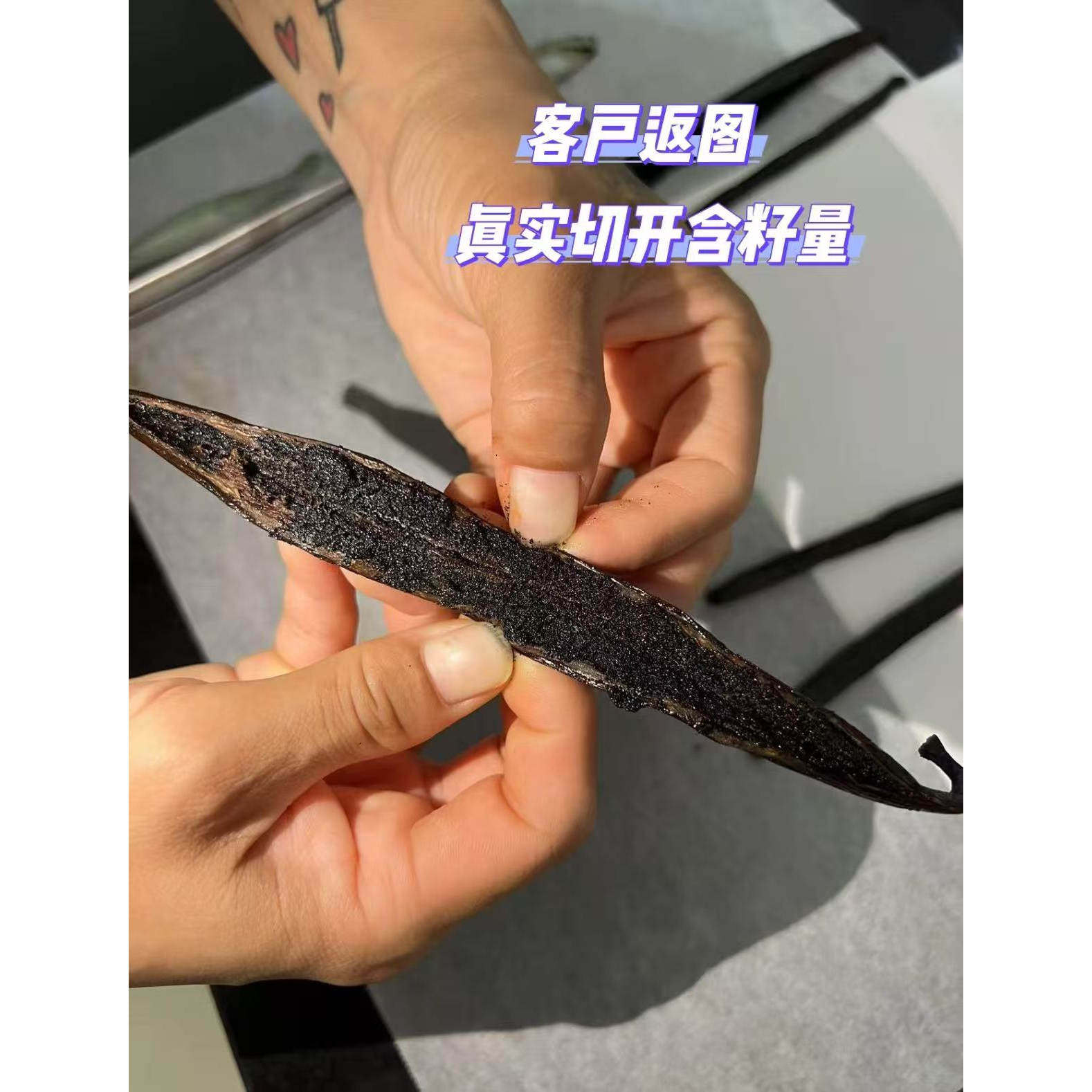 香草荚烘焙马达加斯加香草荚兰天然豆荚条香草籽膏食用香草精进口