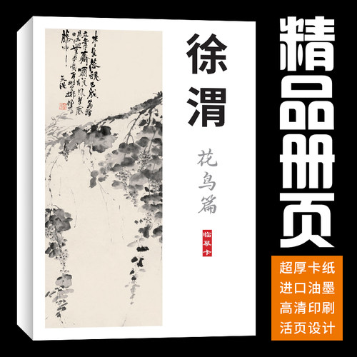 40张花鸟徐渭国画临摹卡画集册页初学者套装成人入门高清培训