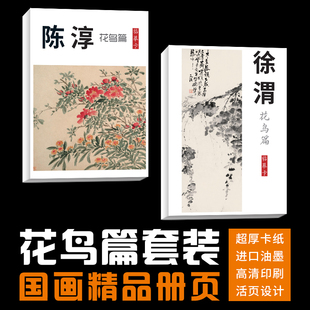 40张花鸟明朝徐渭陈淳国画临摹卡画集册页套装 青藤白阳组合