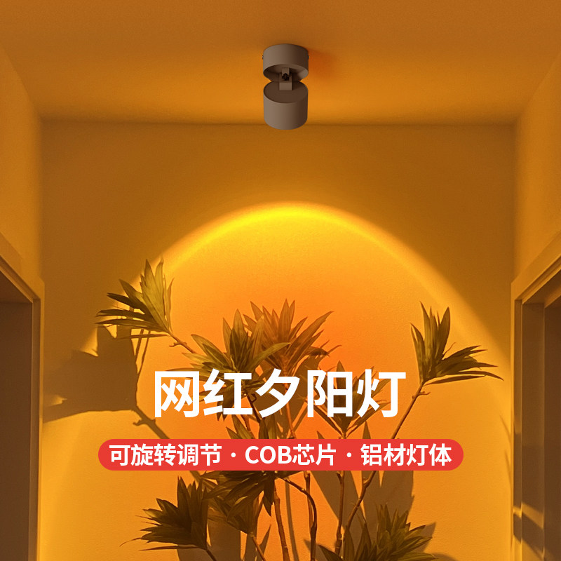 夕阳红照画灯客厅玄关过道背景可调角度氛围灯日不落射灯商铺照明