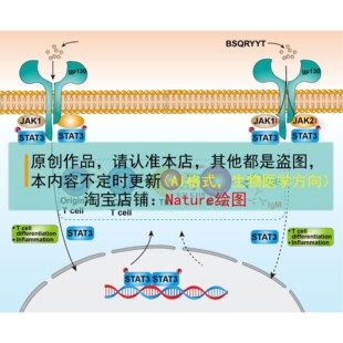 SCI科研绘图素材AI素材生物医学代画学习素材医学绘图AI模板