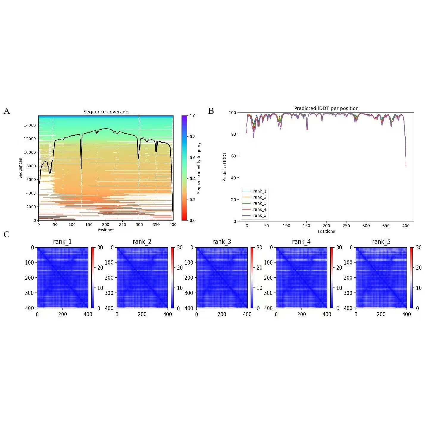 Alphafold2/3蛋白、DNA、RNA同源建模,Autodock分子对接代做
