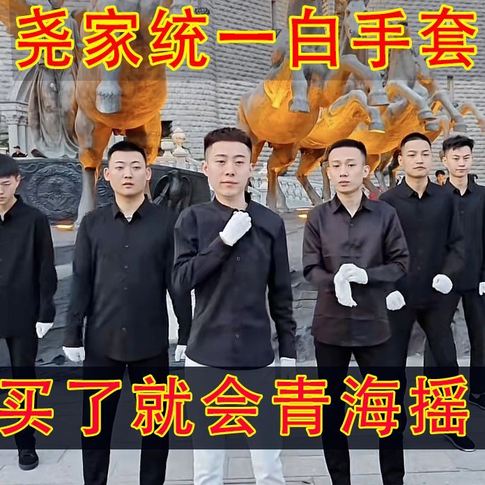 张诗尧同款白色手套秋招手套青海摇同款抖音热门白色秋招同款手套