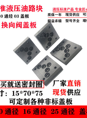 液压系统油路块盖板定做非标阀块集成块动力单元集成油路块堵板