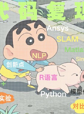 代码复现创新点消融对比实验Python代码编程Matlab语言R代码算法