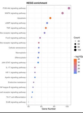 数据上传/下载 转录组/基因/扩增子/单细胞 NCBI SRA/GEO/Genbank