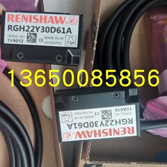 RGH22Y05D61A RGH22Y15D61A RGH22Y30D61A雷尼绍读头RGH22Y50D61A