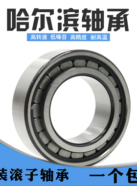 满装圆柱滚子轴承SL04/NNF 5020PP 5022PP 5024PP 5026PP 5028PP