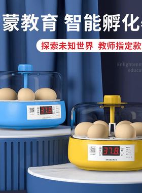孵蛋器儿童迷你芦丁鸡孵化器小型家用鸡蛋孵小鸡的机器鹦鹉孵化箱