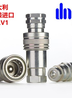 PAV1意大利dnp原装进口液压快速接头高液压油管双自封快插管接头