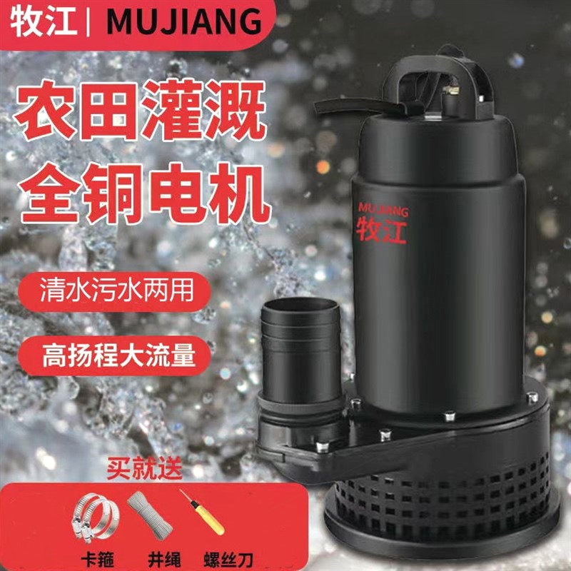 德国进口牧江直流电瓶车污水泵12V48V60V72V农田灌溉浇菜抽水机电