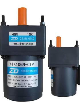 中大ZD 10W力矩堵转电机4TK10GN-CFP/4GN10K