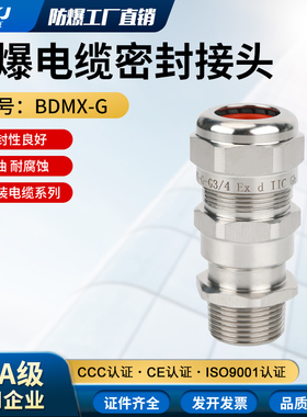 304不锈钢防爆铠装电缆电线电线接头填料函BDMX-GM20G1/2DN20