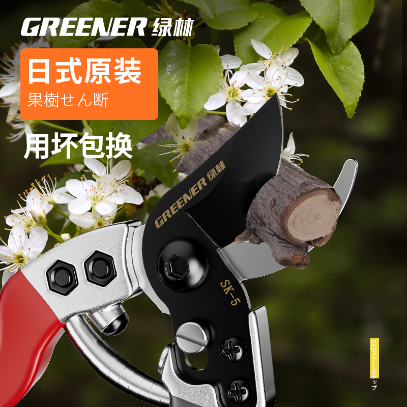 绿林日本原装进口果树剪修枝剪剪树枝专用剪刀果树园艺花剪枝剪