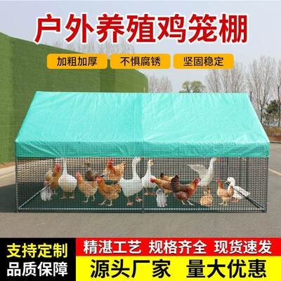外鸡棚鸡笼笼子雨养鸡鸭鸽家禽大型孔雀篷遮鸡舍搭建家用养ITX户