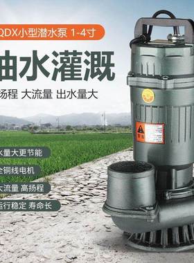 2寸2.5寸3寸用4寸农潜水泵/抽/水UGK机1.8KW大流量灌水泵2溉20V/3