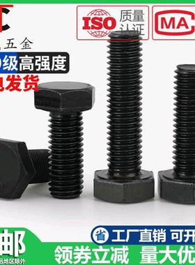 M16M8M20 10.9级外六角螺丝高强度螺栓*55x60x80x150x180x200x300