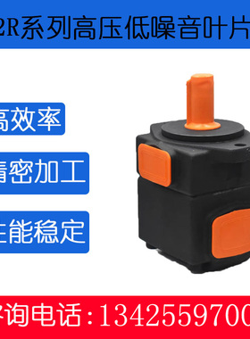 定量 叶片泵PV2R1-10 12 14 17 19 23 25 28 31-F-R液压油泵21MPA