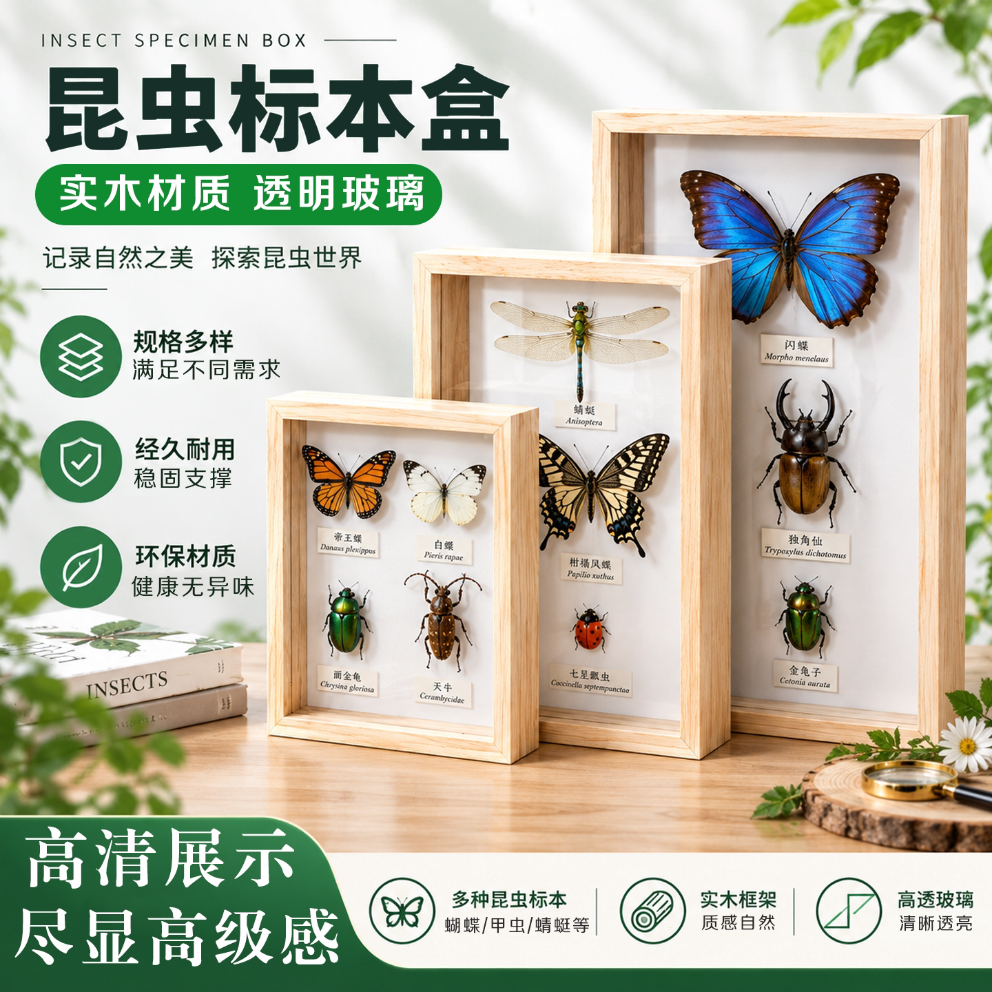 实木昆虫盒蝴蝶标本插针盒松木玻璃标本框diy手工植物昆虫观察盒存放盒展示盒立体框干花保存礼品展示框画框