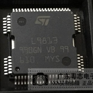 实物实拍 全新进口汽车电脑板芯片 粤志电子 L9813